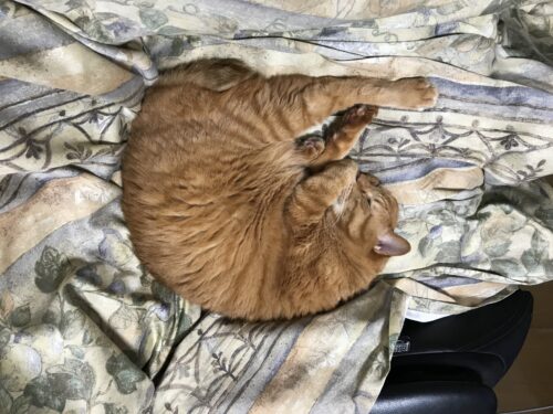 1201fe2f-f8b4-40c2-9a87-047527ede46e